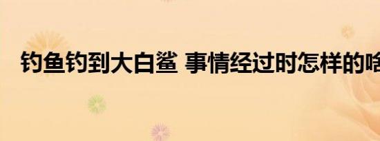 钓鱼钓到大白鲨 事情经过时怎样的啥情况