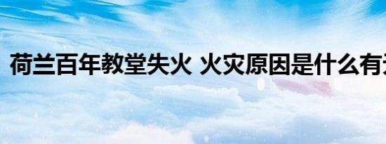 荷兰百年教堂失火 火灾原因是什么有无伤亡