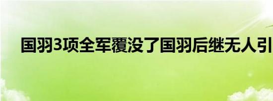 国羽3项全军覆没了国羽后继无人引争议
