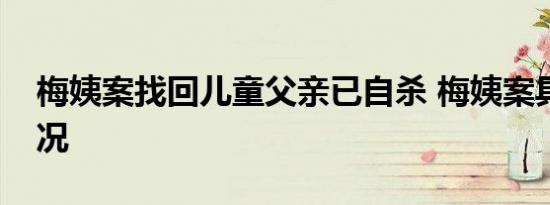 梅姨案找回儿童父亲已自杀 梅姨案具体啥情况
