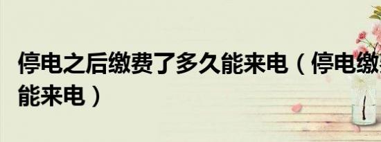 停电之后缴费了多久能来电（停电缴费后多久能来电）