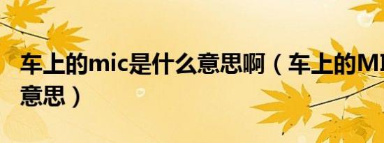 车上的mic是什么意思啊（车上的MIC是什么意思）
