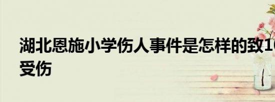 湖北恩施小学伤人事件是怎样的致10名学生受伤
