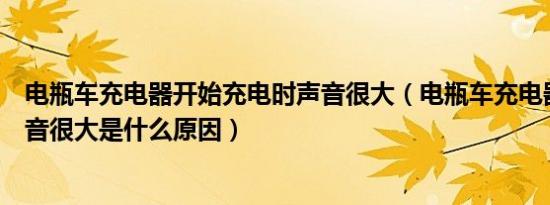 电瓶车充电器开始充电时声音很大（电瓶车充电器充电时声音很大是什么原因）