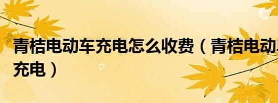 青桔电动车充电怎么收费（青桔电动单车怎么充电）