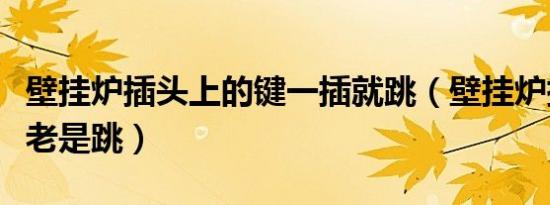 壁挂炉插头上的键一插就跳（壁挂炉插头开关老是跳）