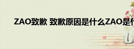 ZAO致歉 致歉原因是什么ZAO是什么