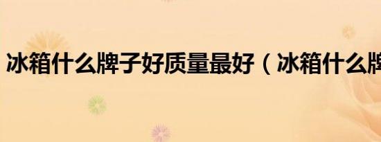 冰箱什么牌子好质量最好（冰箱什么牌子好）