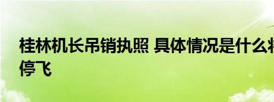 桂林机长吊销执照 具体情况是什么将无限期停飞
