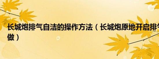 长城炮排气自洁的操作方法（长城炮原地开启排气自洁怎么做）