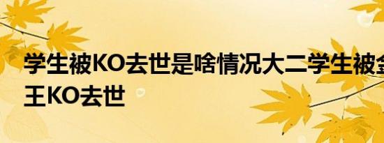 学生被KO去世是啥情况大二学生被金腰带拳王KO去世