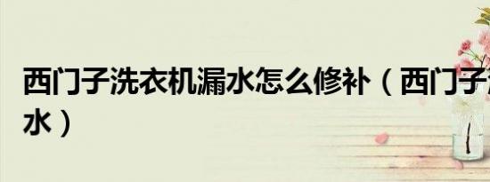 西门子洗衣机漏水怎么修补（西门子洗衣机漏水）