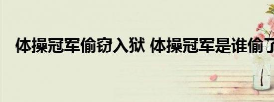 体操冠军偷窃入狱 体操冠军是谁偷了什么