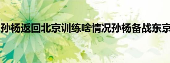 孙杨返回北京训练啥情况孙杨备战东京奥运会