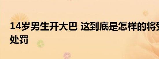 14岁男生开大巴 这到底是怎样的将受到什么处罚
