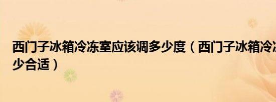 西门子冰箱冷冻室应该调多少度（西门子冰箱冷冻室温度多少合适）