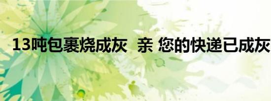 13吨包裹烧成灰 亲 您的快递已成灰（图）