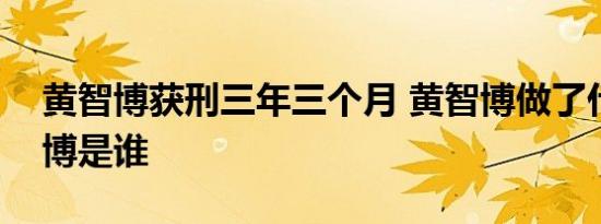 黄智博获刑三年三个月 黄智博做了什么黄智博是谁