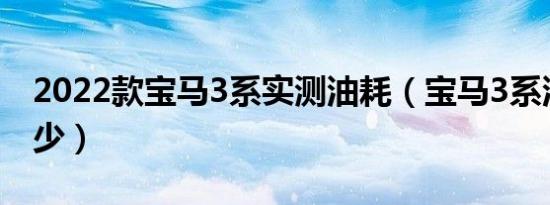 2022款宝马3系实测油耗（宝马3系油耗是多少）