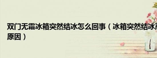 双门无霜冰箱突然结冰怎么回事（冰箱突然结冰严重是什么原因）