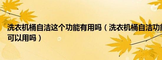 洗衣机桶自洁这个功能有用吗（洗衣机桶自洁功能不加东西可以用吗）