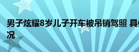男子炫耀8岁儿子开车被吊销驾照 具体是啥情况