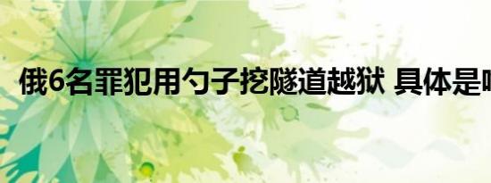 俄6名罪犯用勺子挖隧道越狱 具体是啥情况
