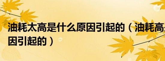 油耗太高是什么原因引起的（油耗高是什么原因引起的）