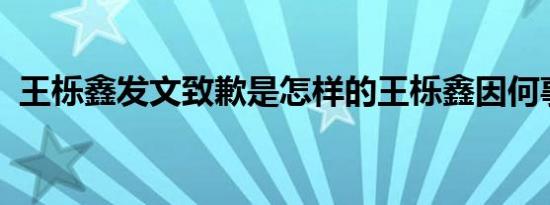 王栎鑫发文致歉是怎样的王栎鑫因何事道歉