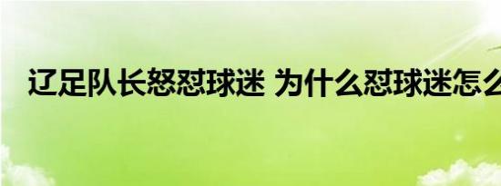 辽足队长怒怼球迷 为什么怼球迷怎么怼的