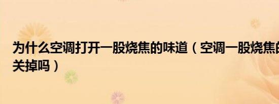 为什么空调打开一股烧焦的味道（空调一股烧焦的味道需要关掉吗）