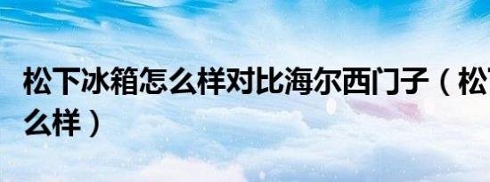 松下冰箱怎么样对比海尔西门子（松下冰箱怎么样）
