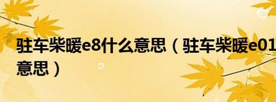 驻车柴暖e8什么意思（驻车柴暖e010是什么意思）