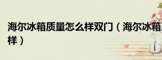 海尔冰箱质量怎么样双门（海尔冰箱质量怎么样）