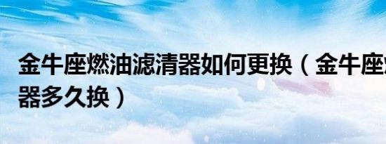 金牛座燃油滤清器如何更换（金牛座燃油滤清器多久换）