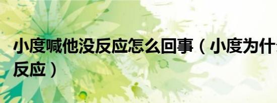 小度喊他没反应怎么回事（小度为什么喊他没反应）