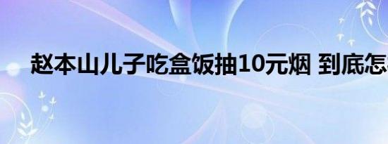 赵本山儿子吃盒饭抽10元烟 到底怎样的