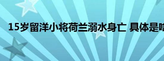 15岁留洋小将荷兰溺水身亡 具体是啥情况