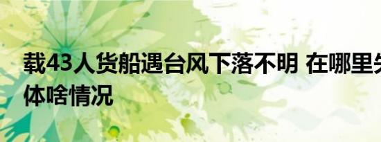 载43人货船遇台风下落不明 在哪里失踪的具体啥情况