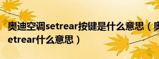 奥迪空调setrear按键是什么意思（奥迪空调setrear什么意思）