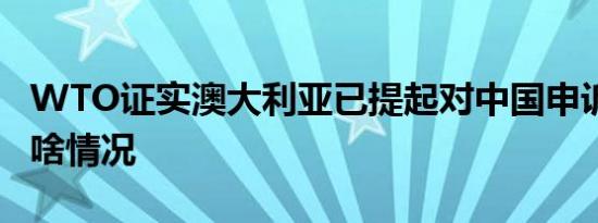 WTO证实澳大利亚已提起对中国申诉 具体是啥情况