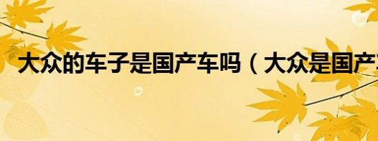 大众的车子是国产车吗（大众是国产车吗）