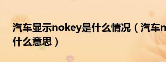 汽车显示nokey是什么情况（汽车nokey是什么意思）