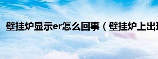 壁挂炉显示er怎么回事（壁挂炉上出现ER）