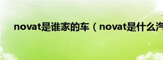 novat是谁家的车（novat是什么汽车）