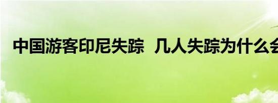 中国游客印尼失踪 几人失踪为什么会失踪