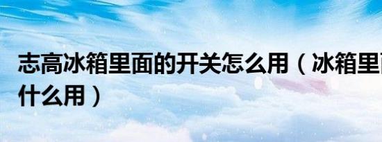 志高冰箱里面的开关怎么用（冰箱里面开关有什么用）