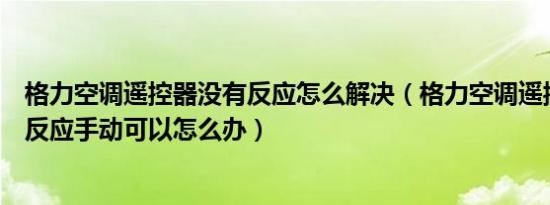 格力空调遥控器没有反应怎么解决（格力空调遥控器开机没反应手动可以怎么办）