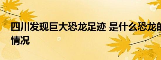 四川发现巨大恐龙足迹 是什么恐龙的足迹啥情况