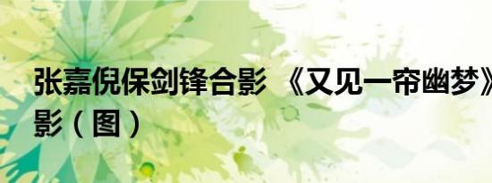 张嘉倪保剑锋合影 《又见一帘幽梦》剧组合影（图）
